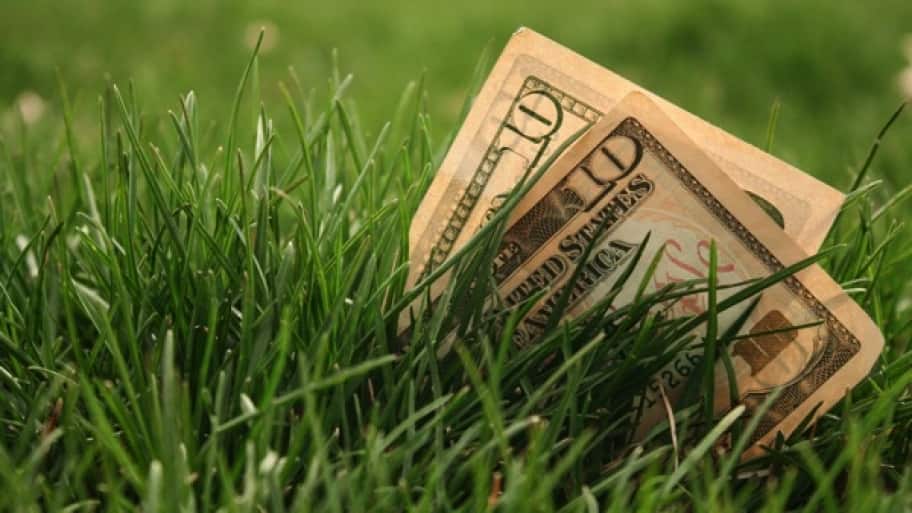 How Much Does It Cost to Fertilize Your Yard?
