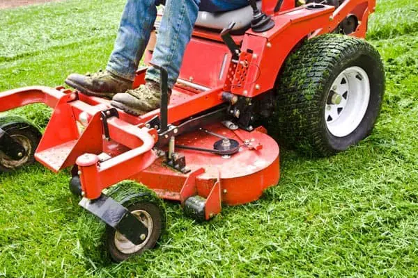 How Much Does It Cost to Have Your Lawn Mowed ...