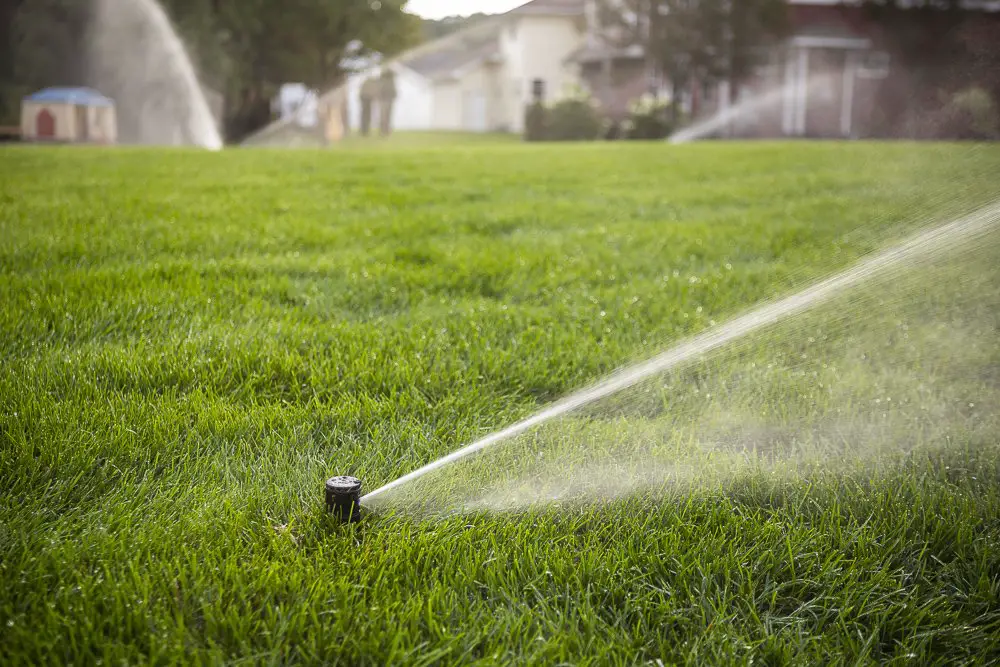 How Much Does It Cost to Install A Sprinkler System in ...