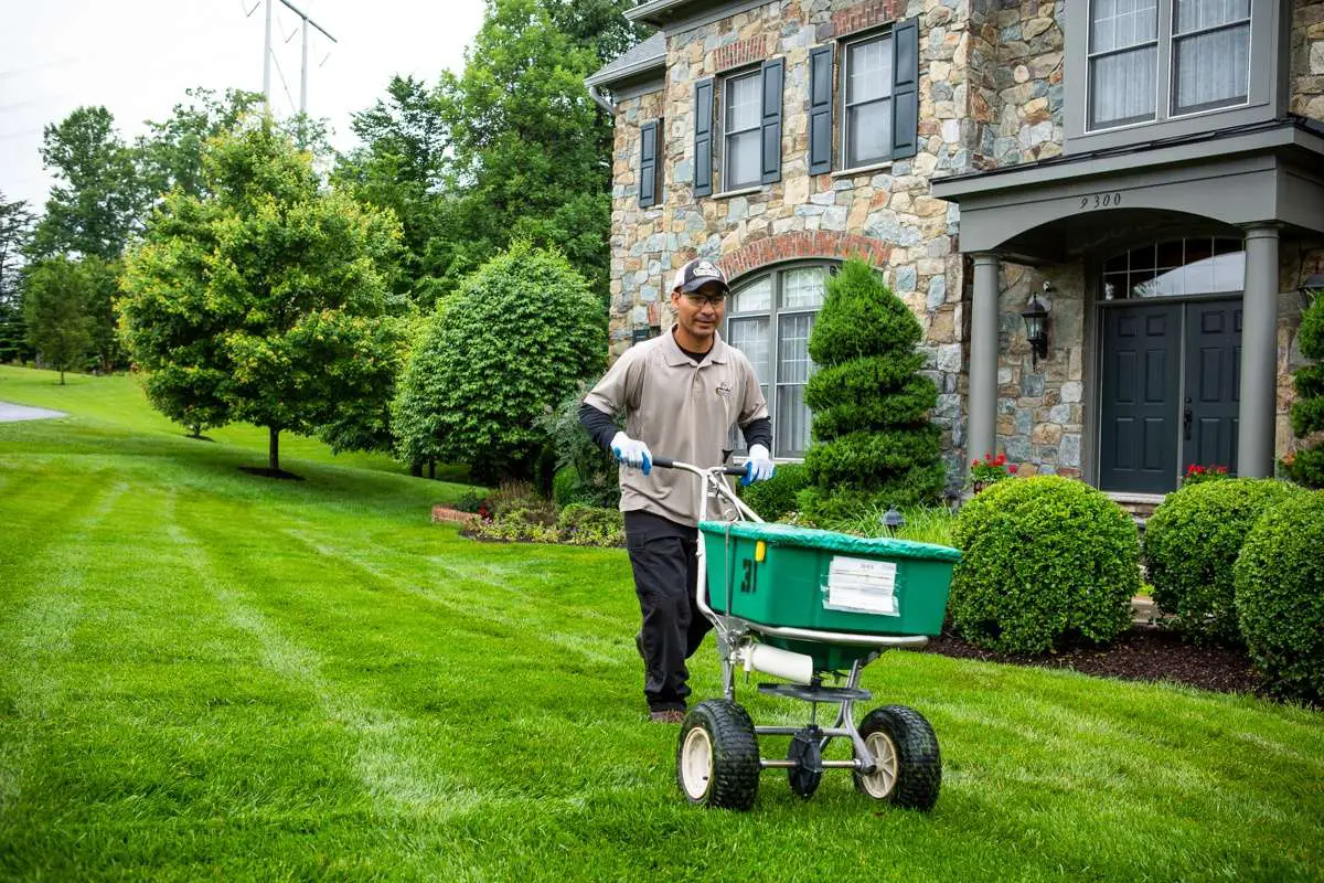 How Much Does Lawn Care Cost: Exploring Program Pricing for Alexandria ...