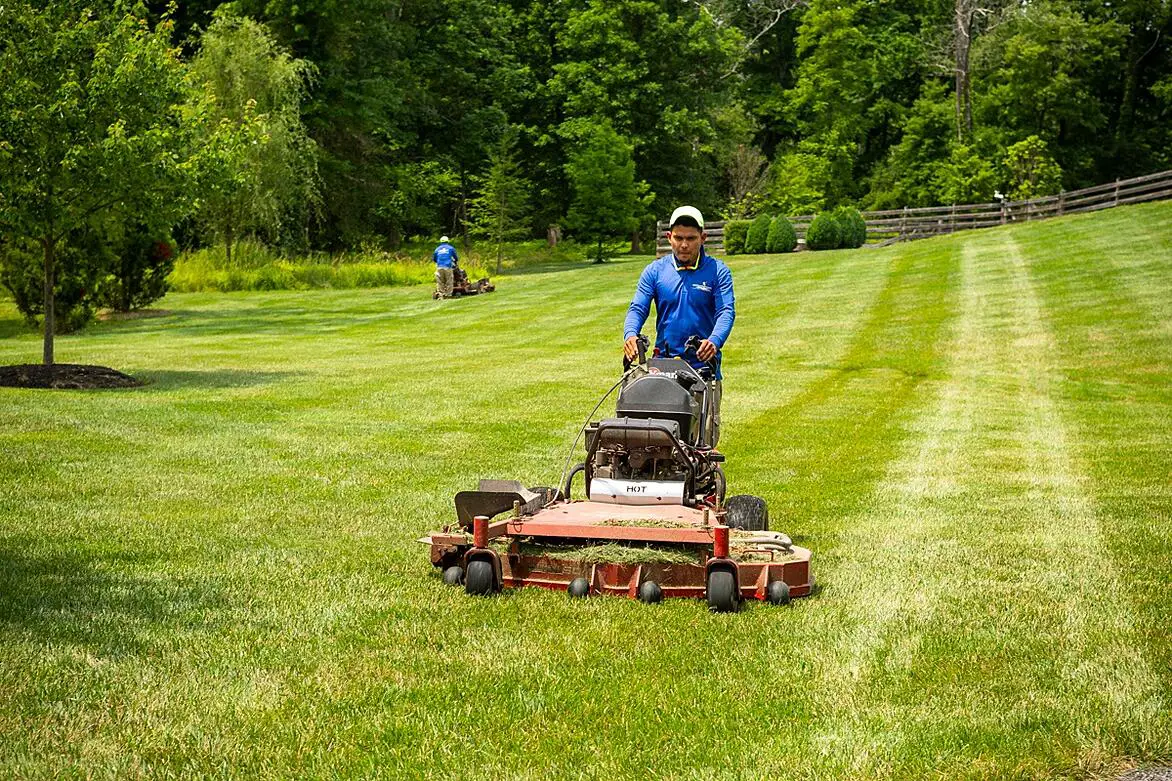 How Much Does Lawn Care Cost in Gainesville, Haymarket, or ...