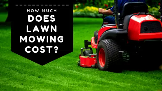 How Much Does Lawn Mowing Cost?