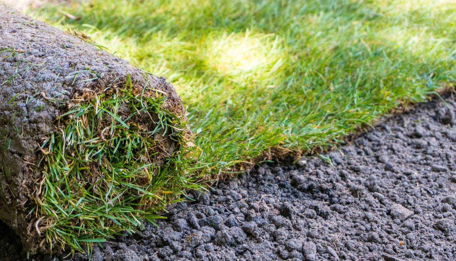 How Much Does Sod Cost? 2019 Cost Guide
