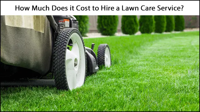 How Much Does Trugreen Charge For Lawn Care