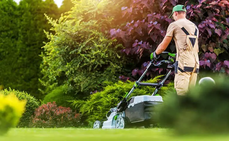How Much Is Lawn Care Per Hour