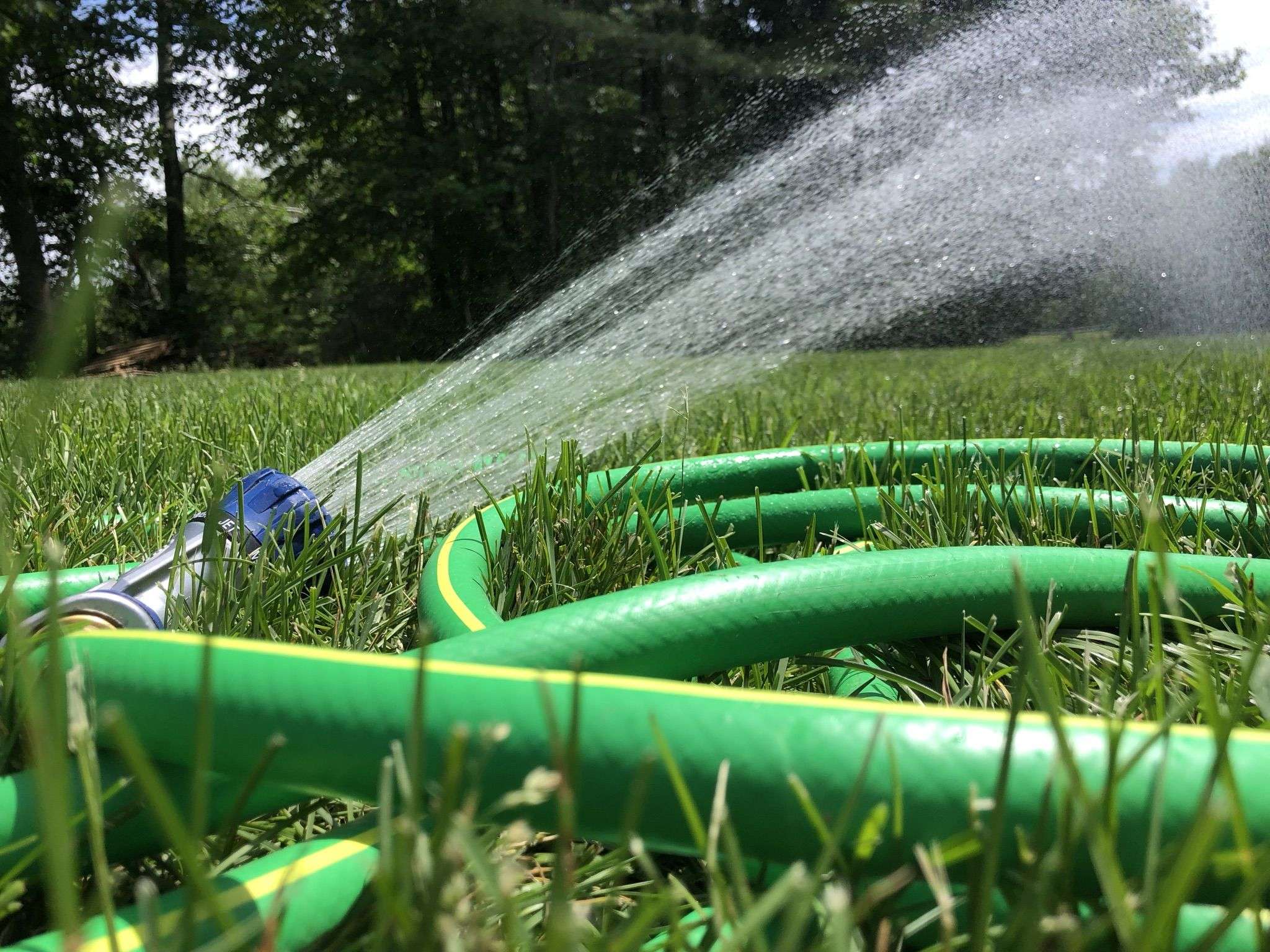 How Much Should I Water My Lawn? in 2021