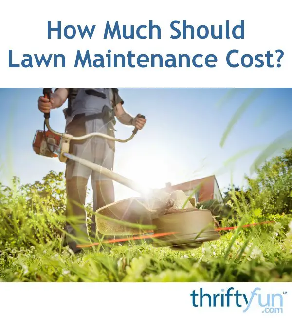 How Much Should Lawn Maintenance Cost?