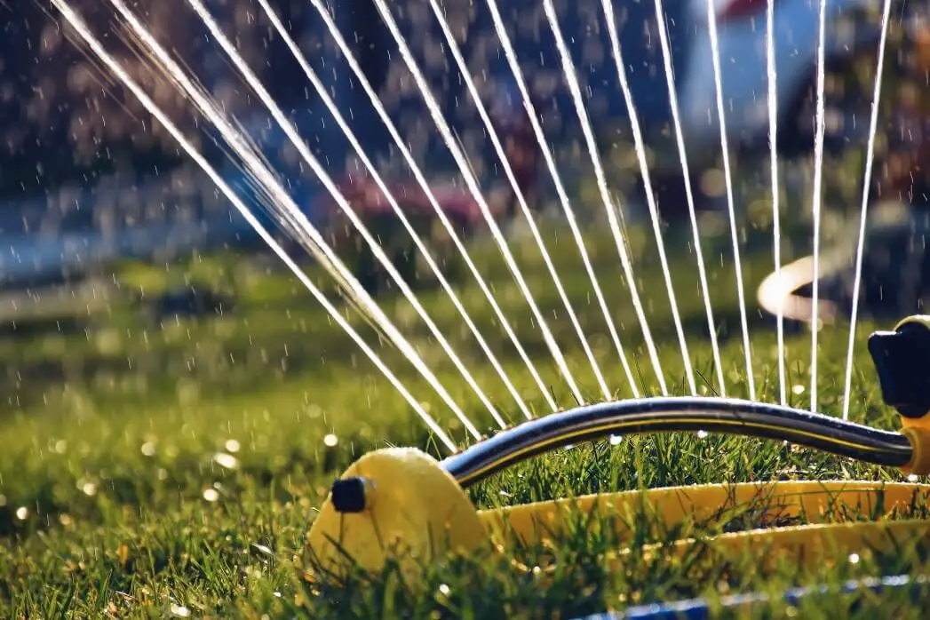 How Much Should You Water Your Lawn in Spring and Summer?