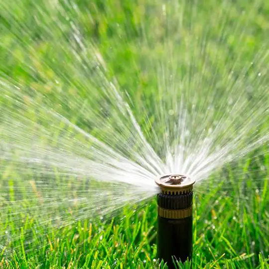 How Much to Water the Lawn