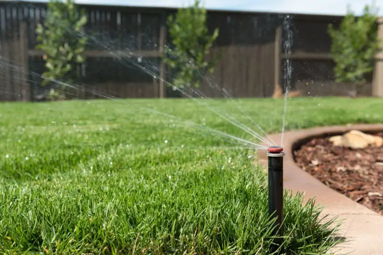 How Much Water Does My Lawn Need?