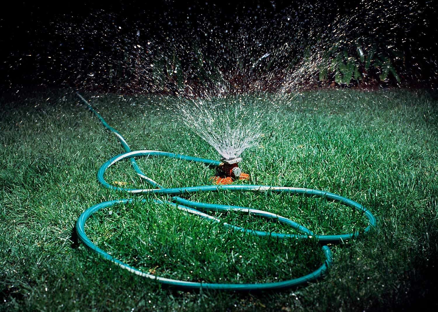 How much you should water your lawn, according to a golf superintendent ...