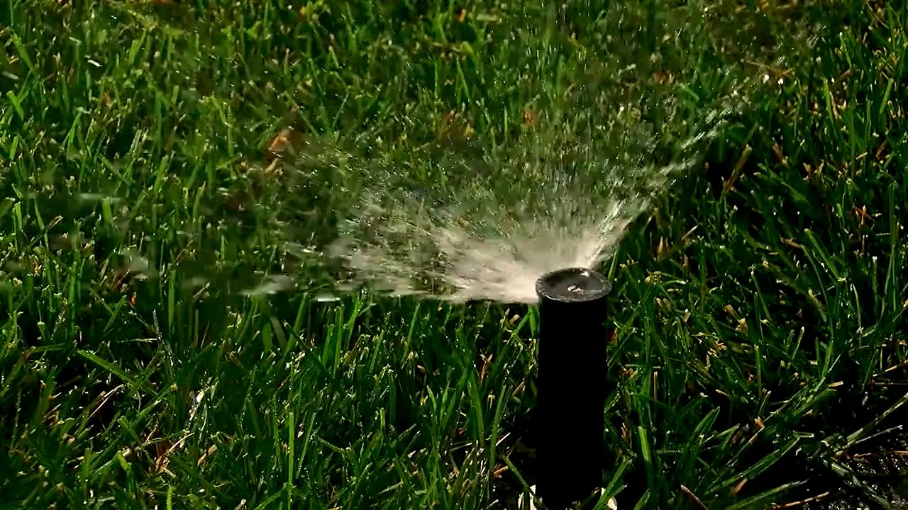 How often and how long should you be watering your lawn?