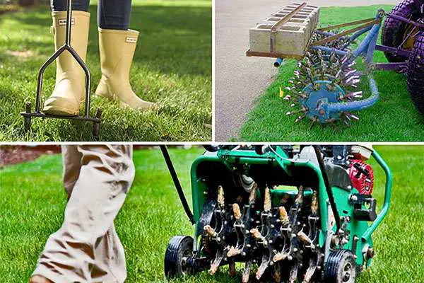 How Often do you Aerate a Lawn?