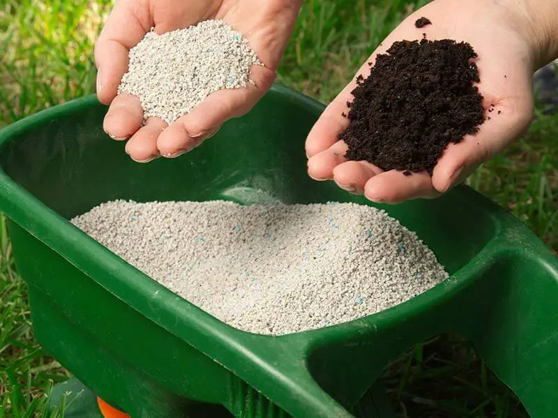 How Often Do You Need to Fertilize Your Lawn