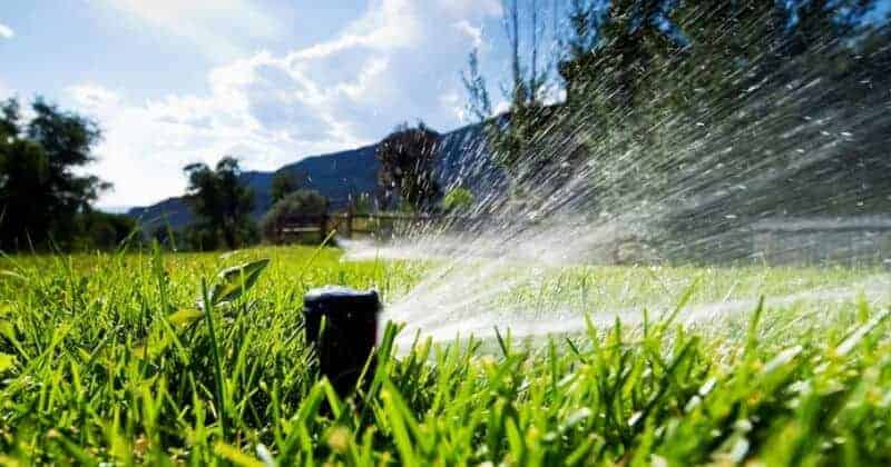 How Often &  How Long Should I Water My Lawn With Sprinkler ...