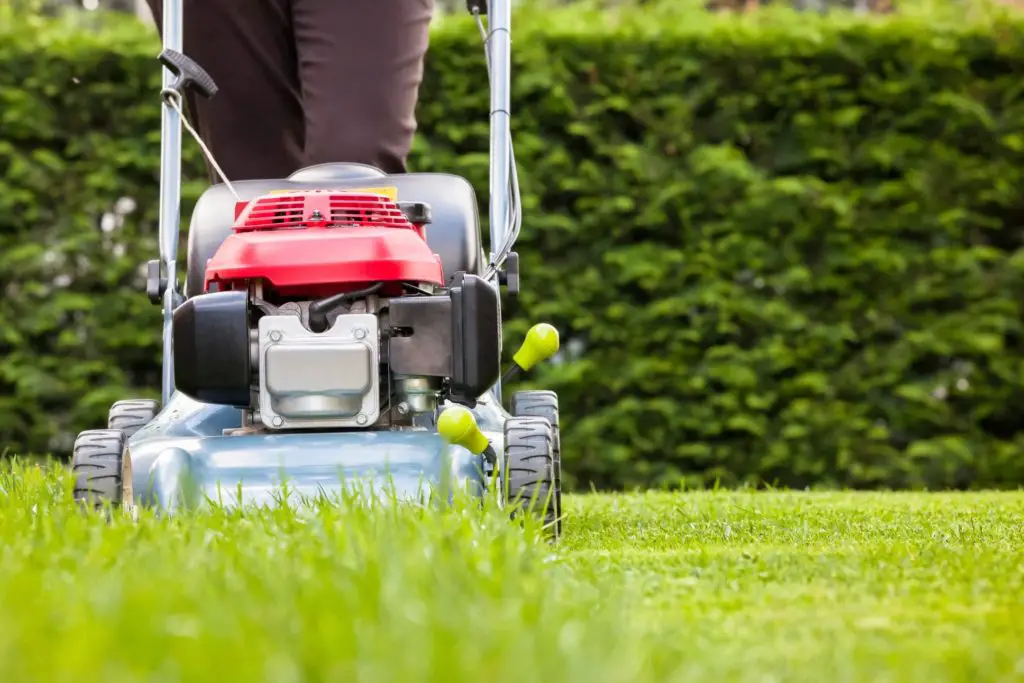 How Often Should I Mow My Lawn? Weekly or Bi