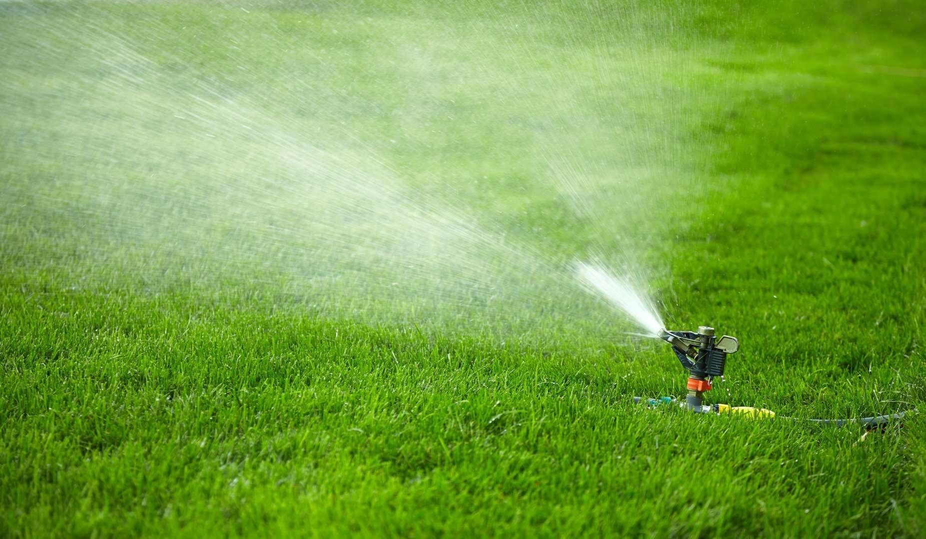 How Often Should I Water My Grass?