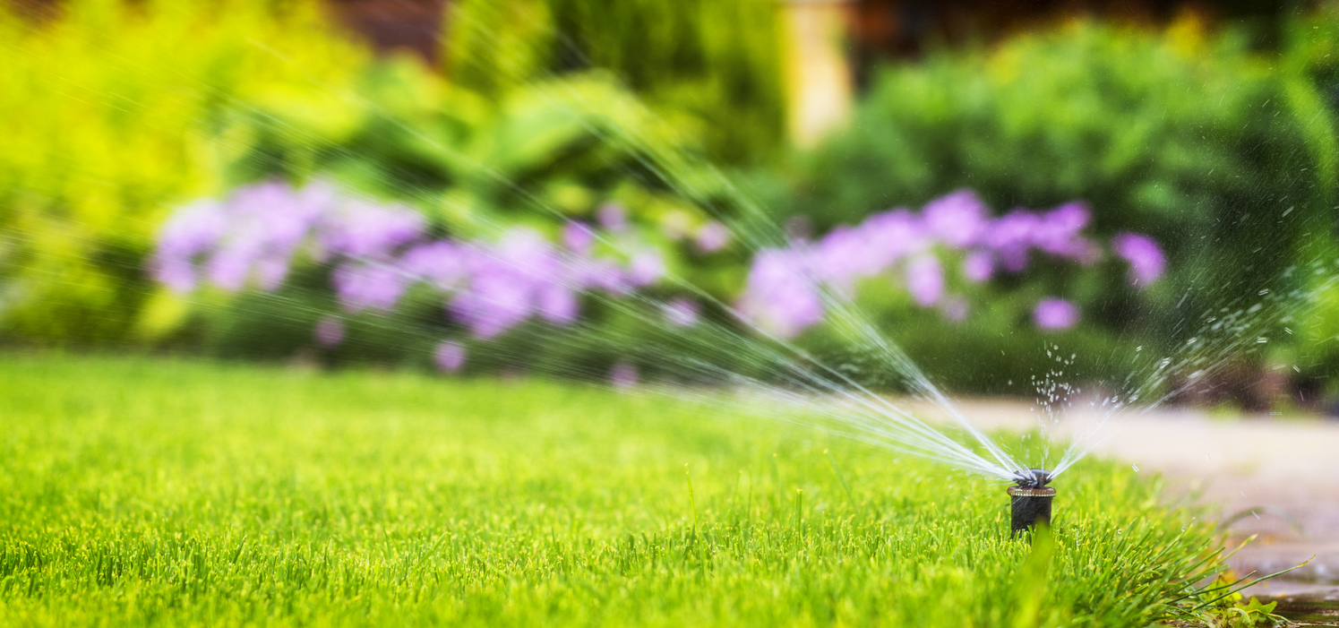 How Often Should I Water My Lawn in the Summer?