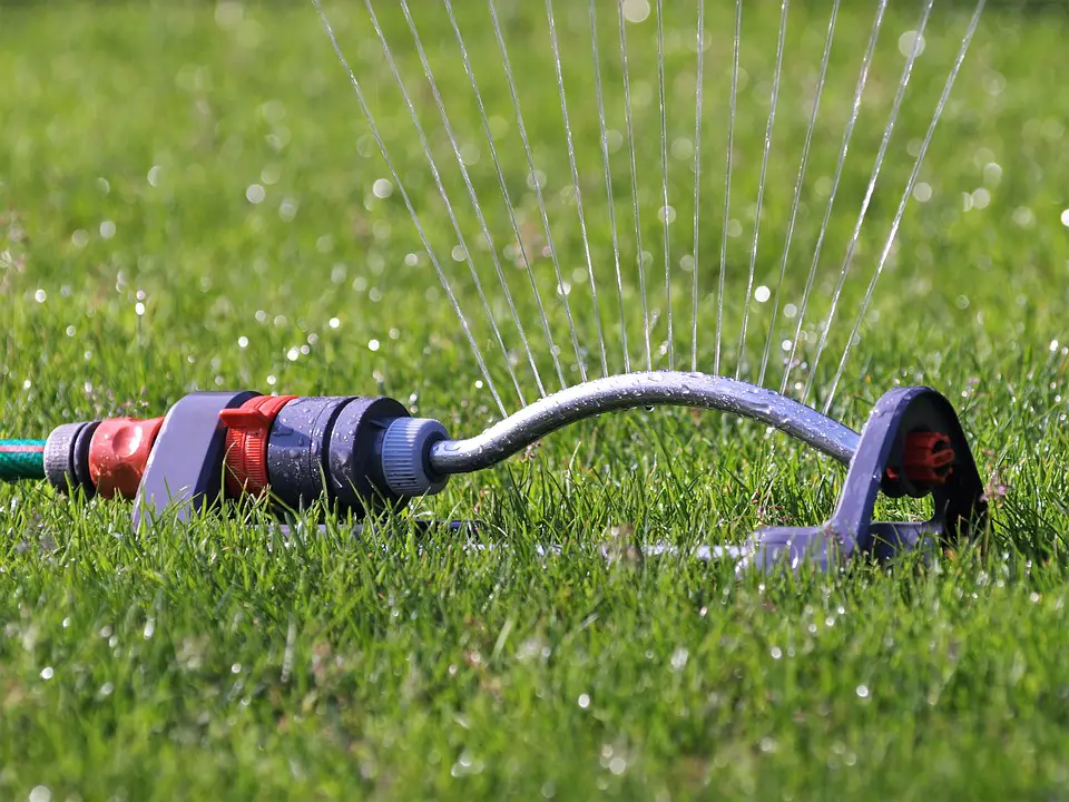 How often Should I water my Lawn &  What Time is Best?