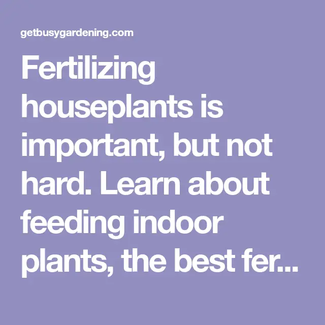 How Often Should U Fertilize Your Garden / Orchid Fertilizer Content ...