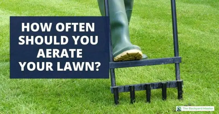How Often Should You Aerate Your Lawn? (The Surprising ...