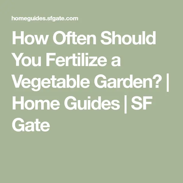 How Often Should You Fertilize a Vegetable Garden?