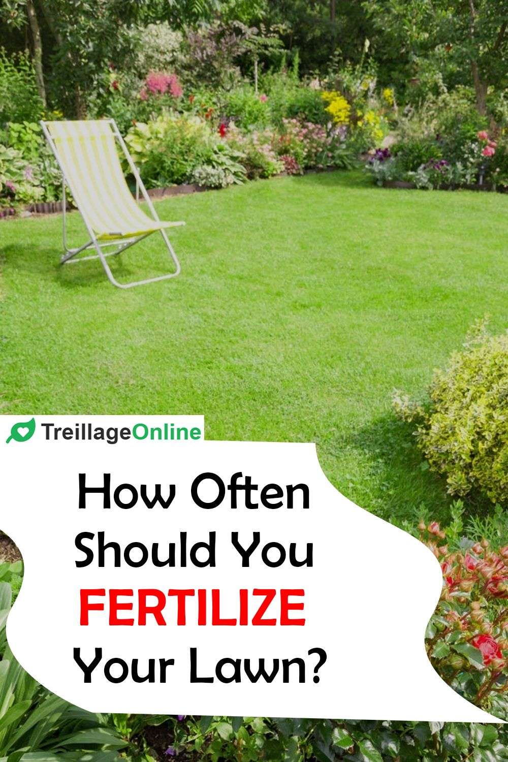 How Often Should You Fertilize Your Lawn? in 2020