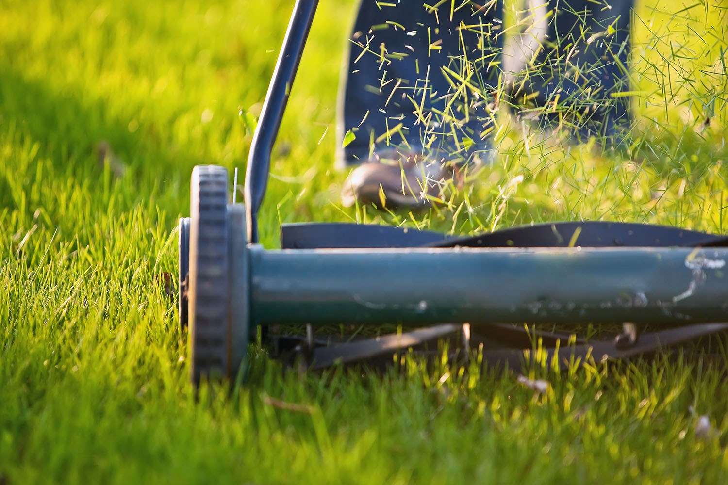 How often should you mow the lawn: Lawn care tips