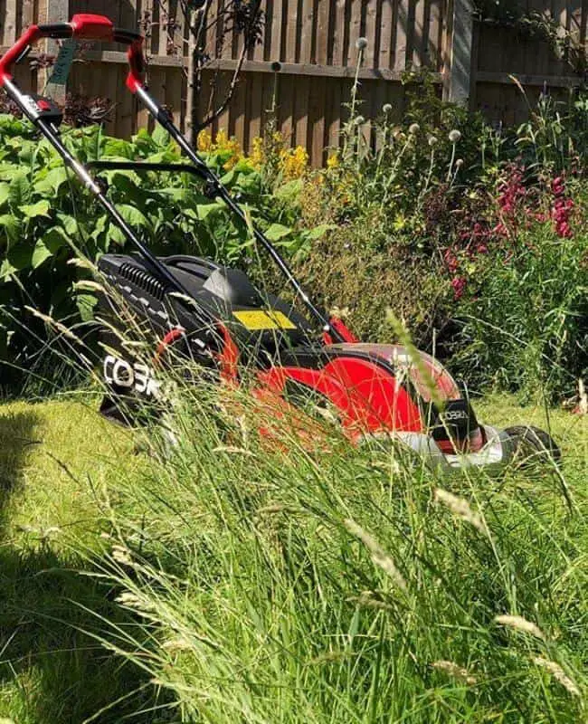 How Often Should You Mow Your Lawn To Get A Lush, Green Grass