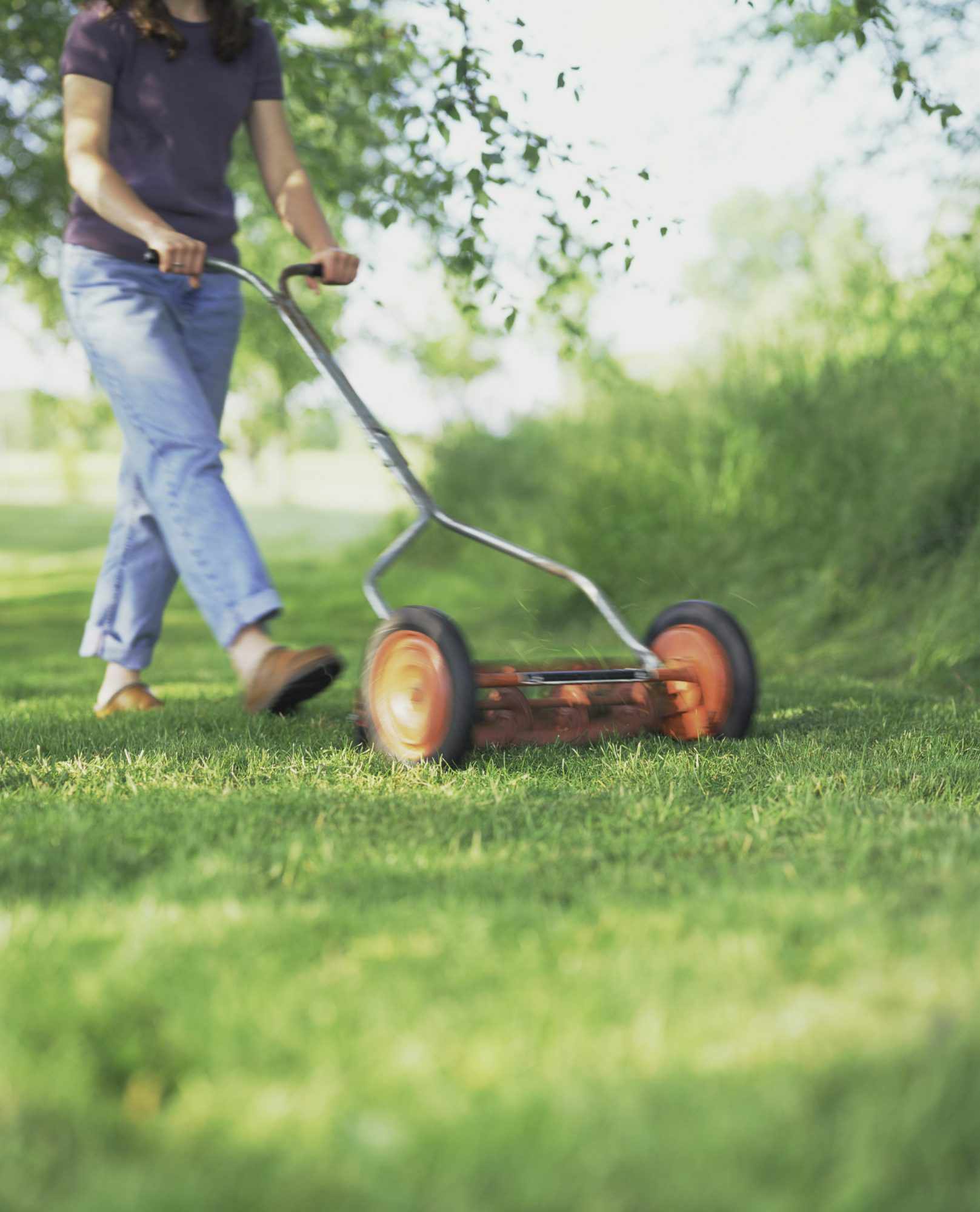 How Often Should You Really Be Mowing Your Lawn?