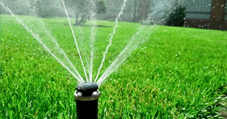 How Often Should You Water Your Lawn