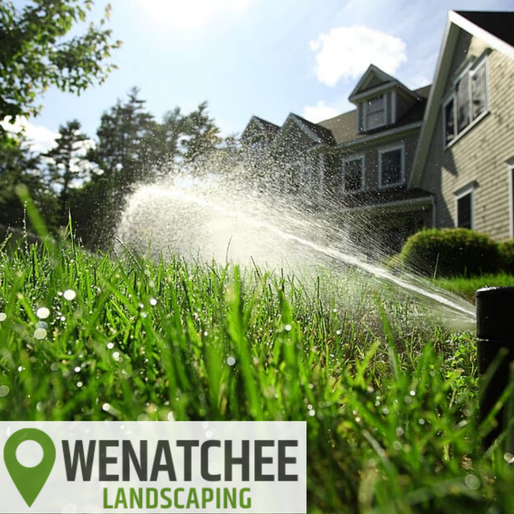 How Often Should You Water Your Lawn With Sprinkler System ...