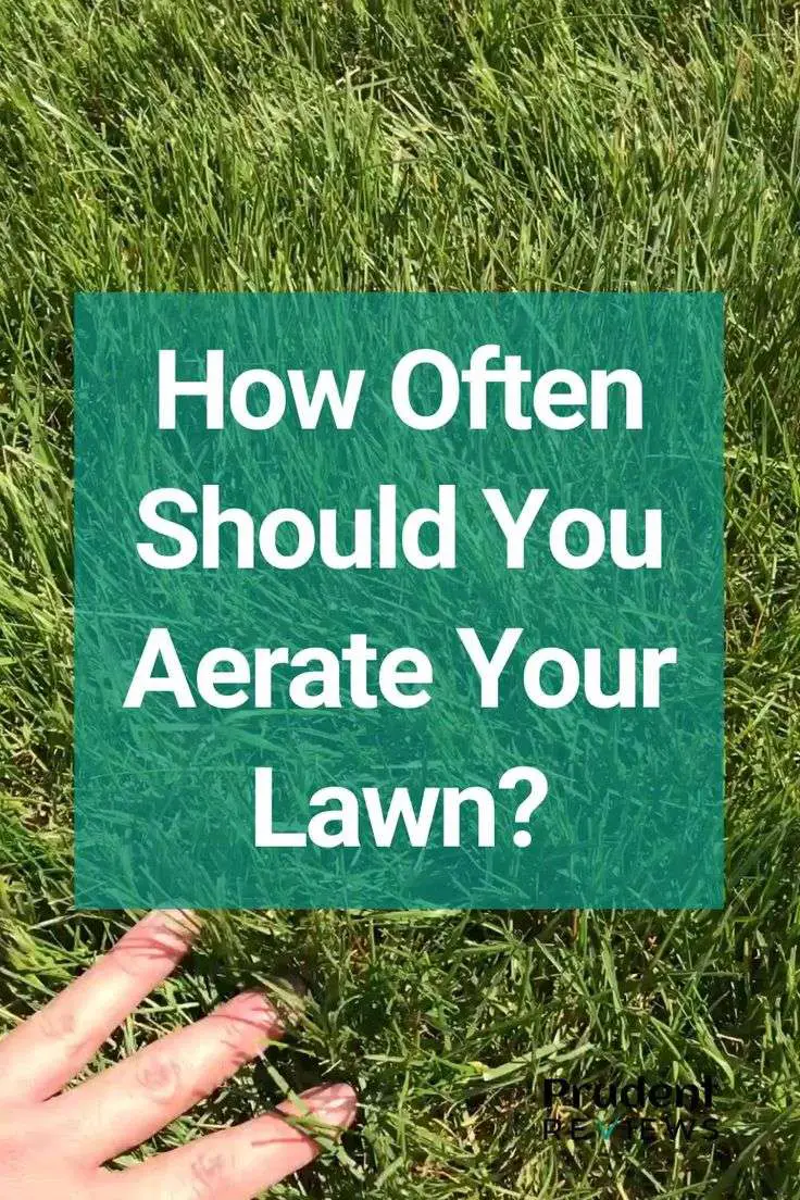 How Often To Aerate Fescue Lawn