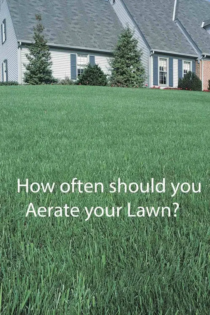 How Often To Aerate Grass