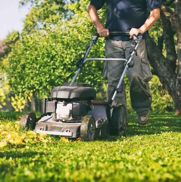 How Often to Mow Lawn? A Guide of Lawn Mowing Frequency in Different ...