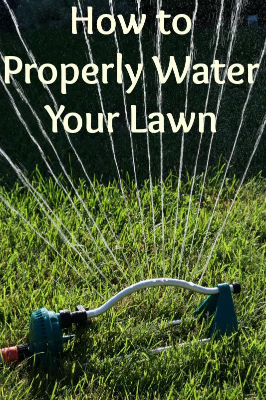 How Should I Water My Lawn