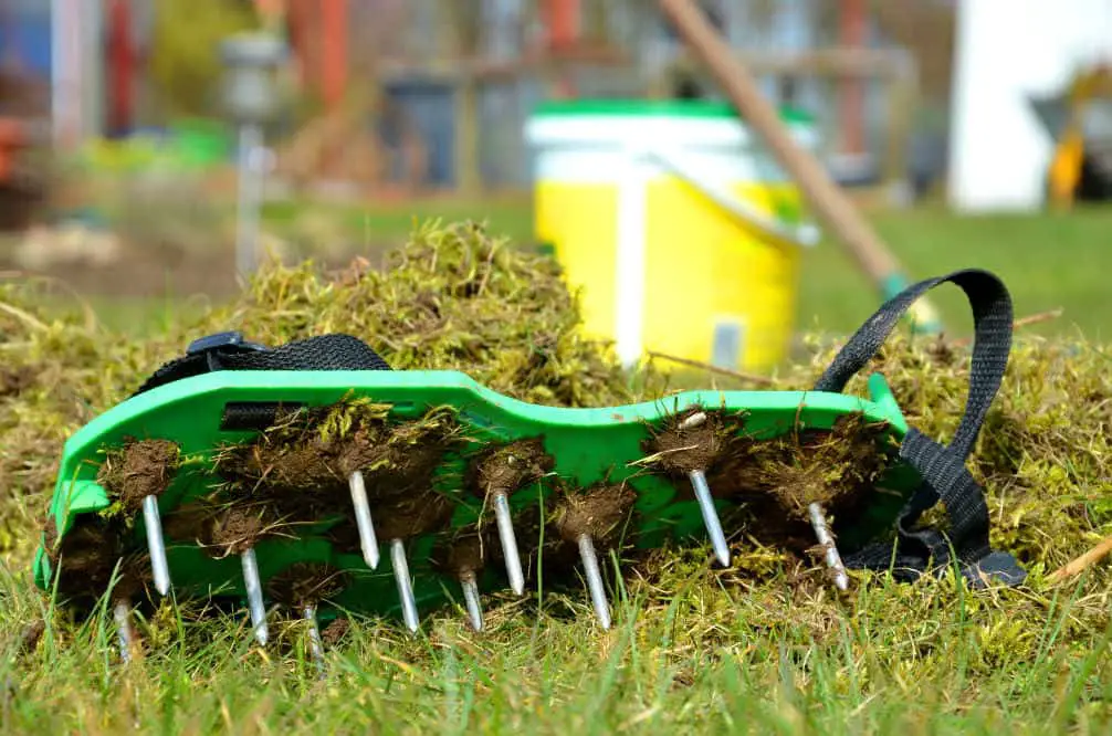 How to Aerate Lawns: The Secret to a Healthy