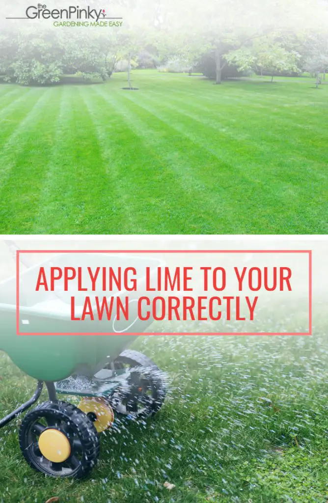 How to Apply Lime to Your Lawn? â Our Tips and Tricks