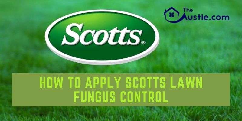 How to Apply Scotts Lawn Fungus Control