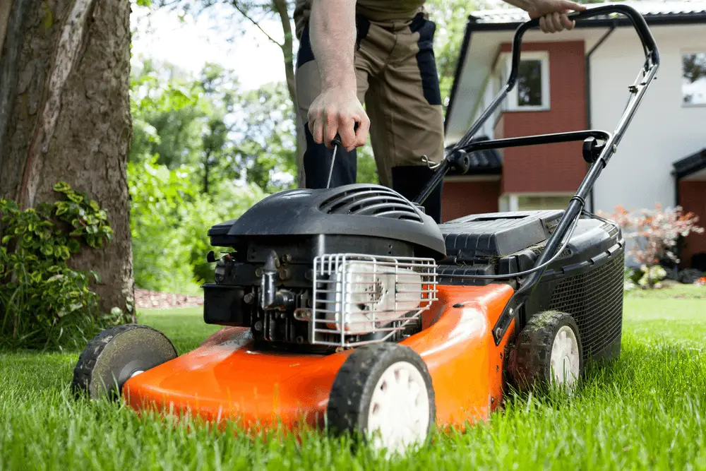 How To Buy a Perfect Lawn Mower