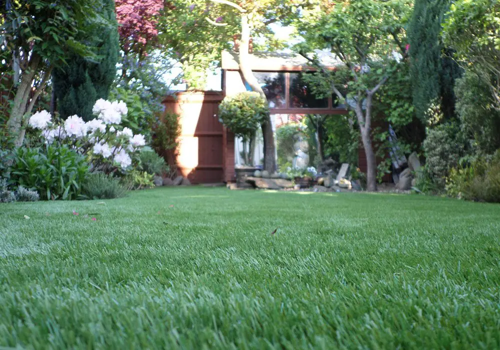 How to choose the best artificial grass for your lawn