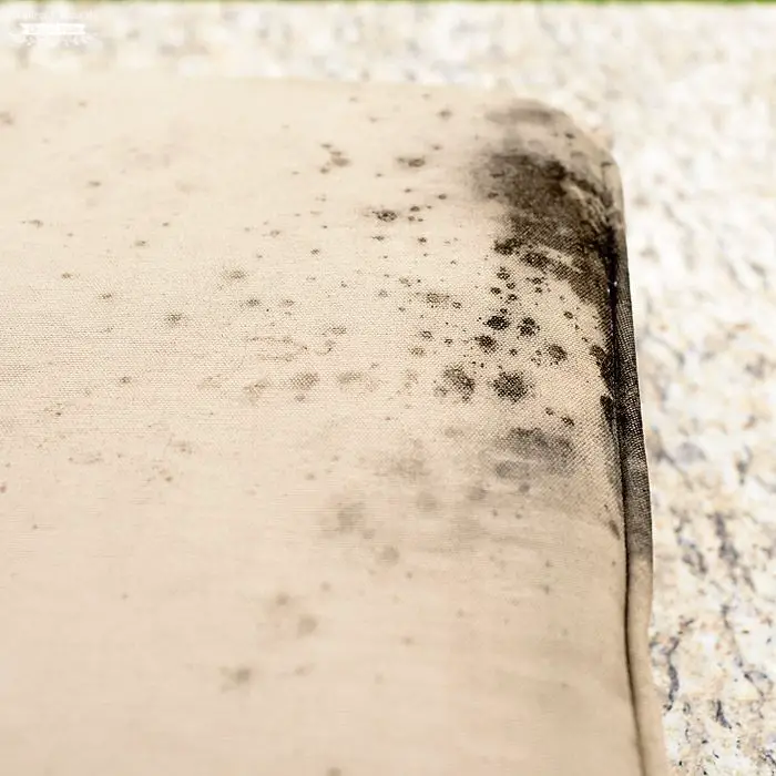 How to clean Mold off of outdoor furniture