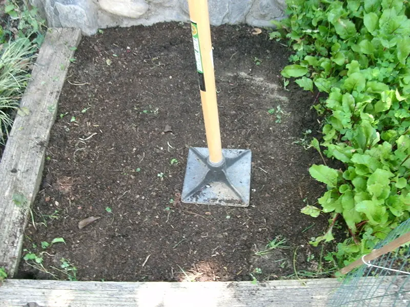 How to Compact Soil: Tips Every Novice Gardener Must Know