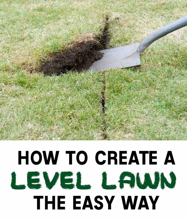 How to Create a Level Lawn The EASY Way