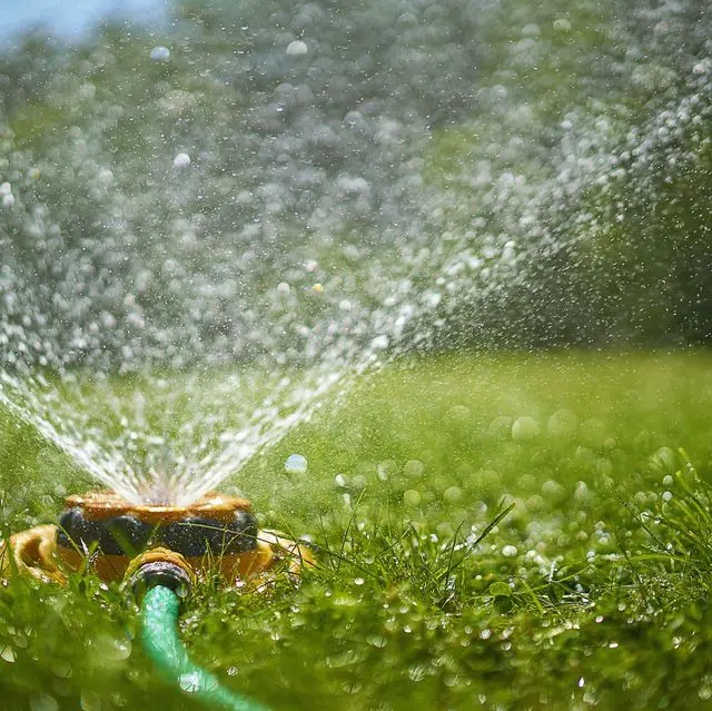 How To Deep Water A Lawn