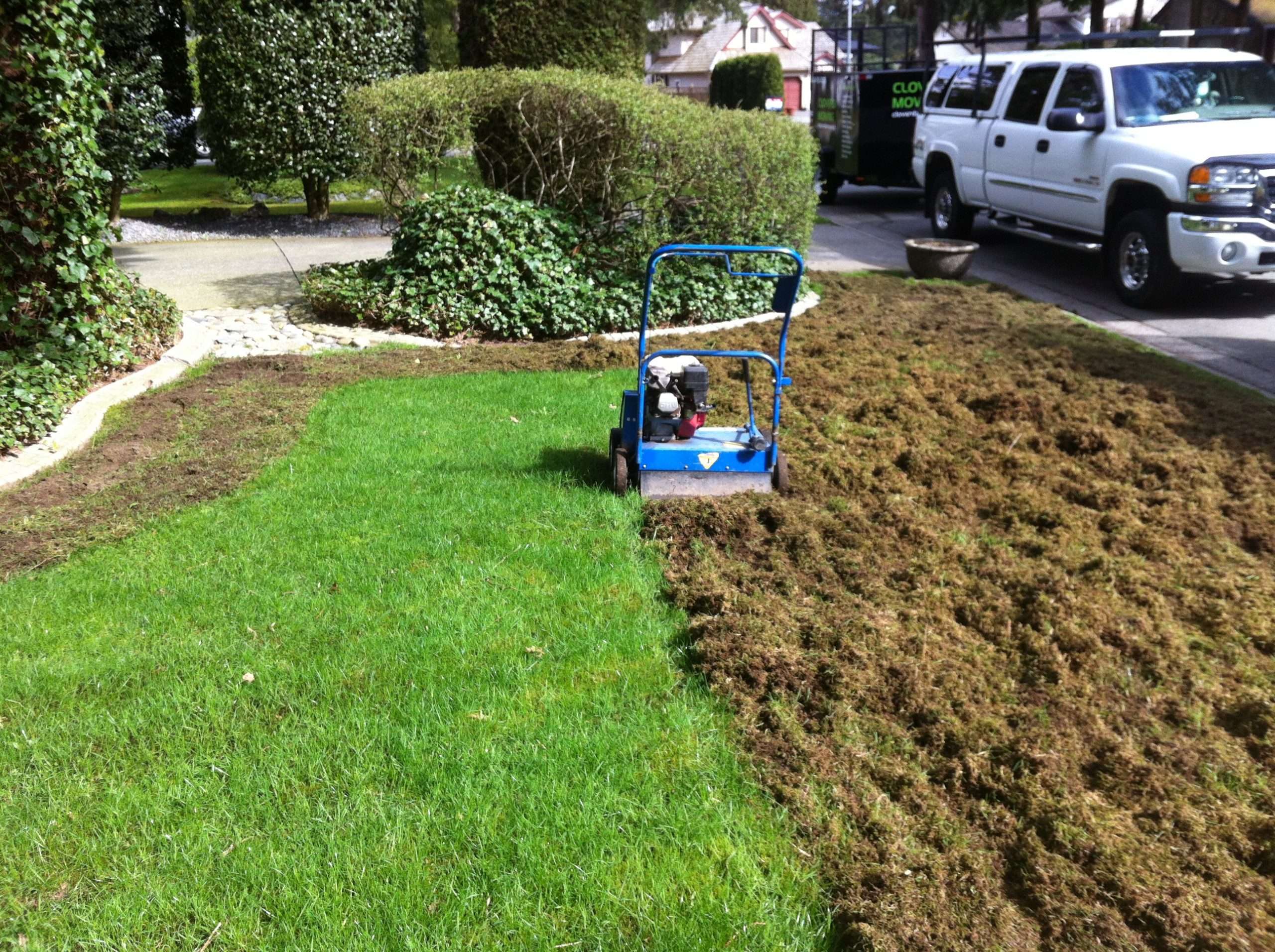 How To Dethatch A Lawn Quickly
