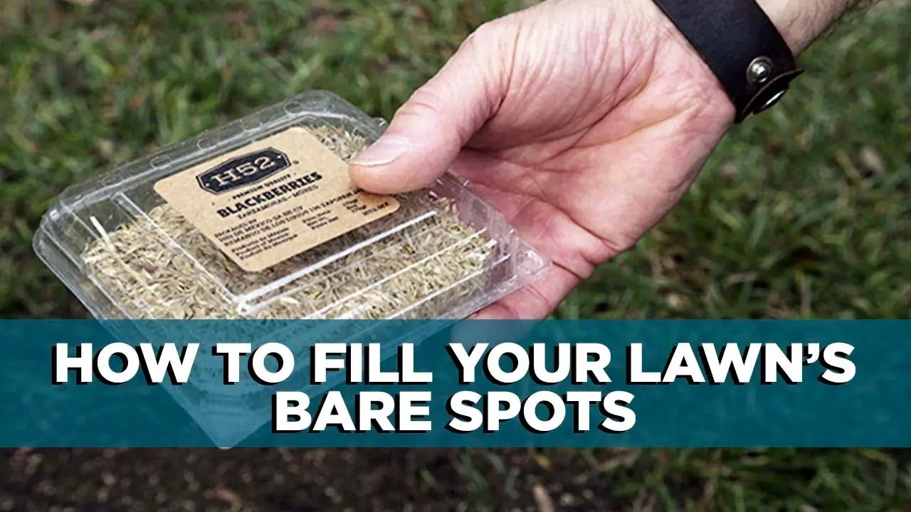 How to Easily Fill Your Lawn