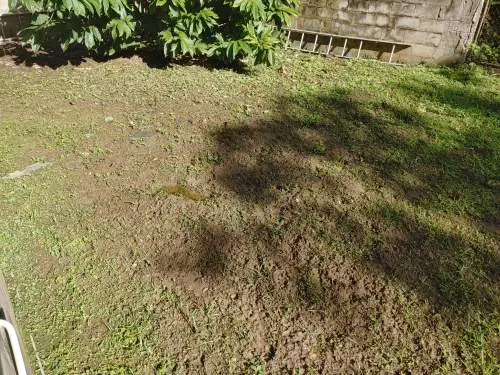 How To Fix A Muddy Lawn