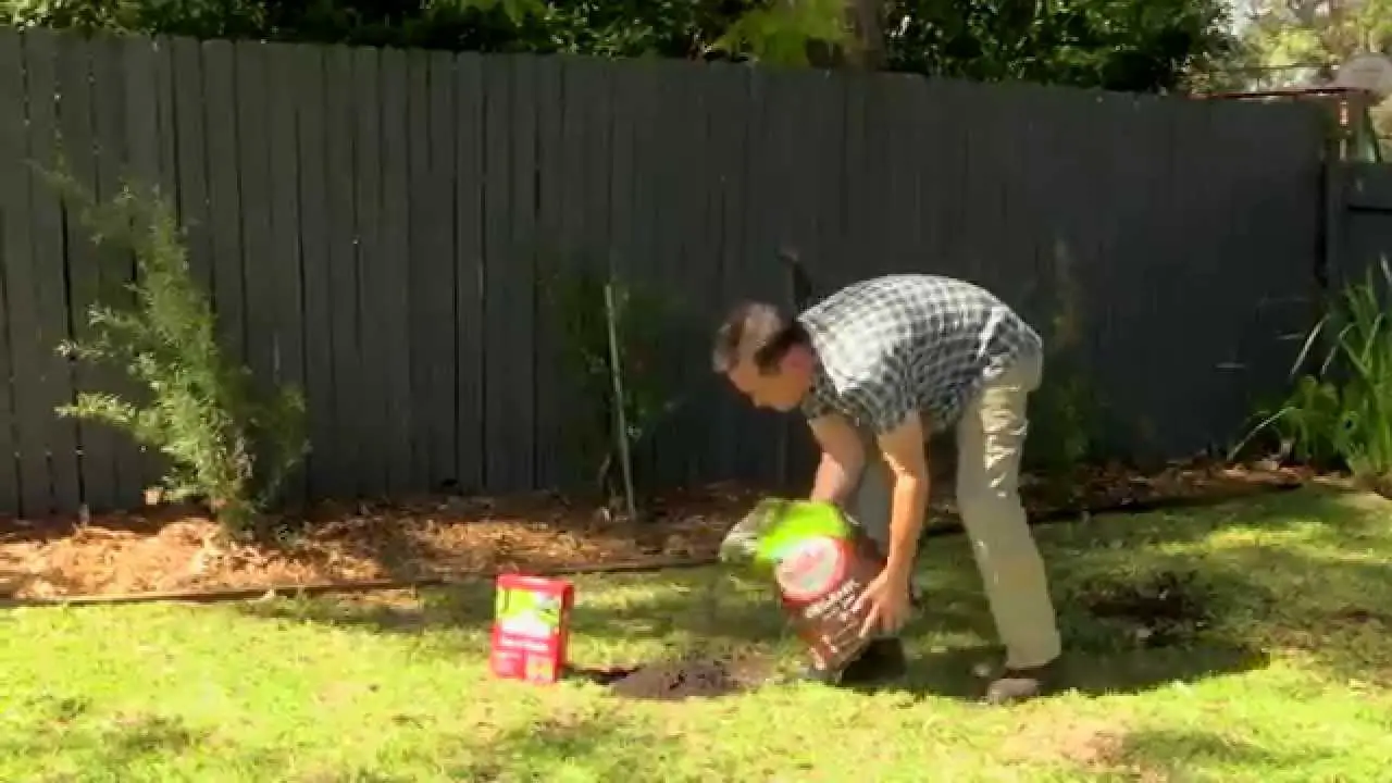 How To Fix A Patchy Lawn