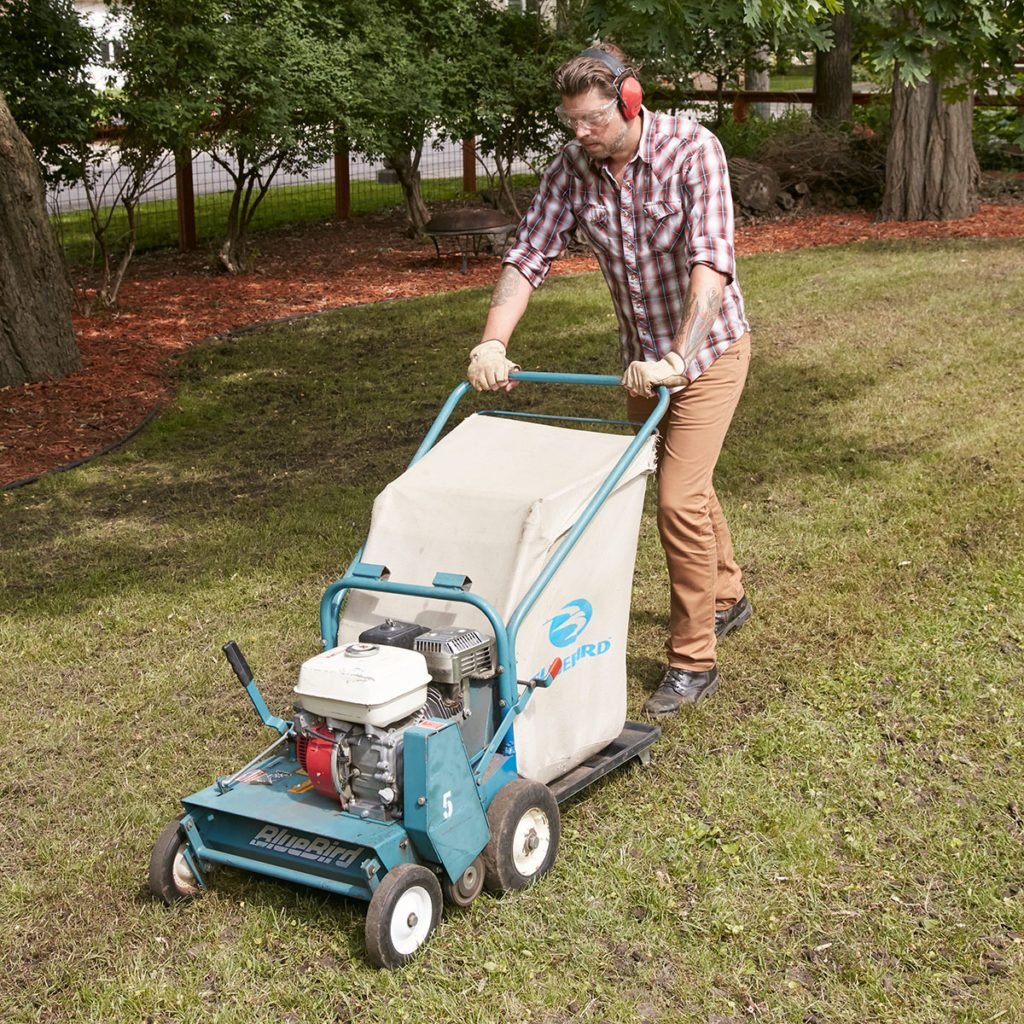 How to Fix a Weedy &  Patchy Lawn